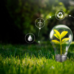 A regulação tem papel decisivo no crescimento sustentável do mercado de criptomoedas, destaca Paulo de Matos Junior.A regulação tem papel decisivo no crescimento sustentável do mercado de criptomoedas, destaca Paulo de Matos Junior.