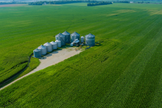 Política Nacional de Bioeconomia no Brasil: Desafios e Oportunidades para o Desenvolvimento Sustentável
