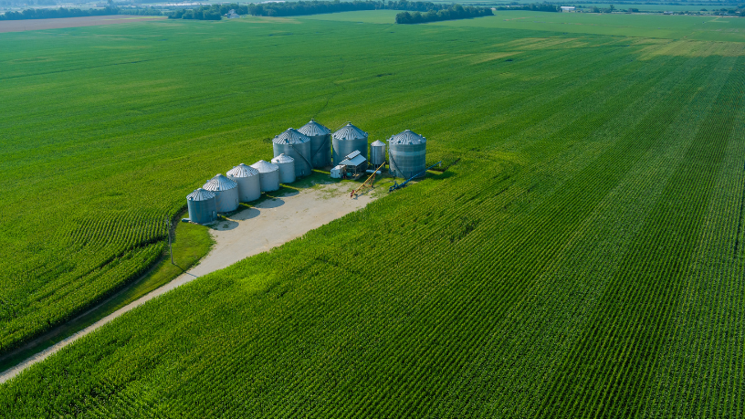 Política Nacional de Bioeconomia no Brasil: Desafios e Oportunidades para o Desenvolvimento Sustentável