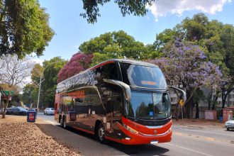 Ônibus urbano de dois andares circula por uma via arborizada de Brasília em um dia ensolarado.