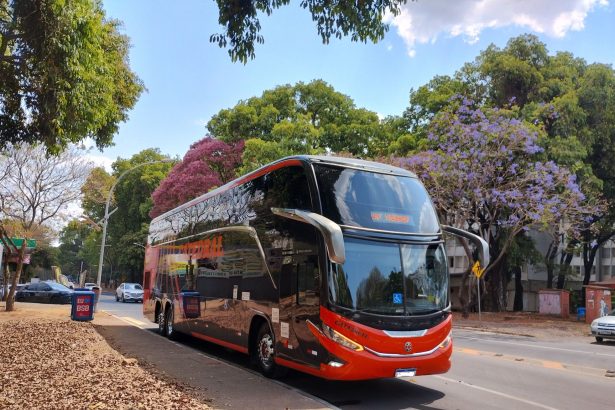 Ônibus urbano de dois andares circula por uma via arborizada de Brasília em um dia ensolarado.